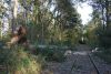 Th Unwetter